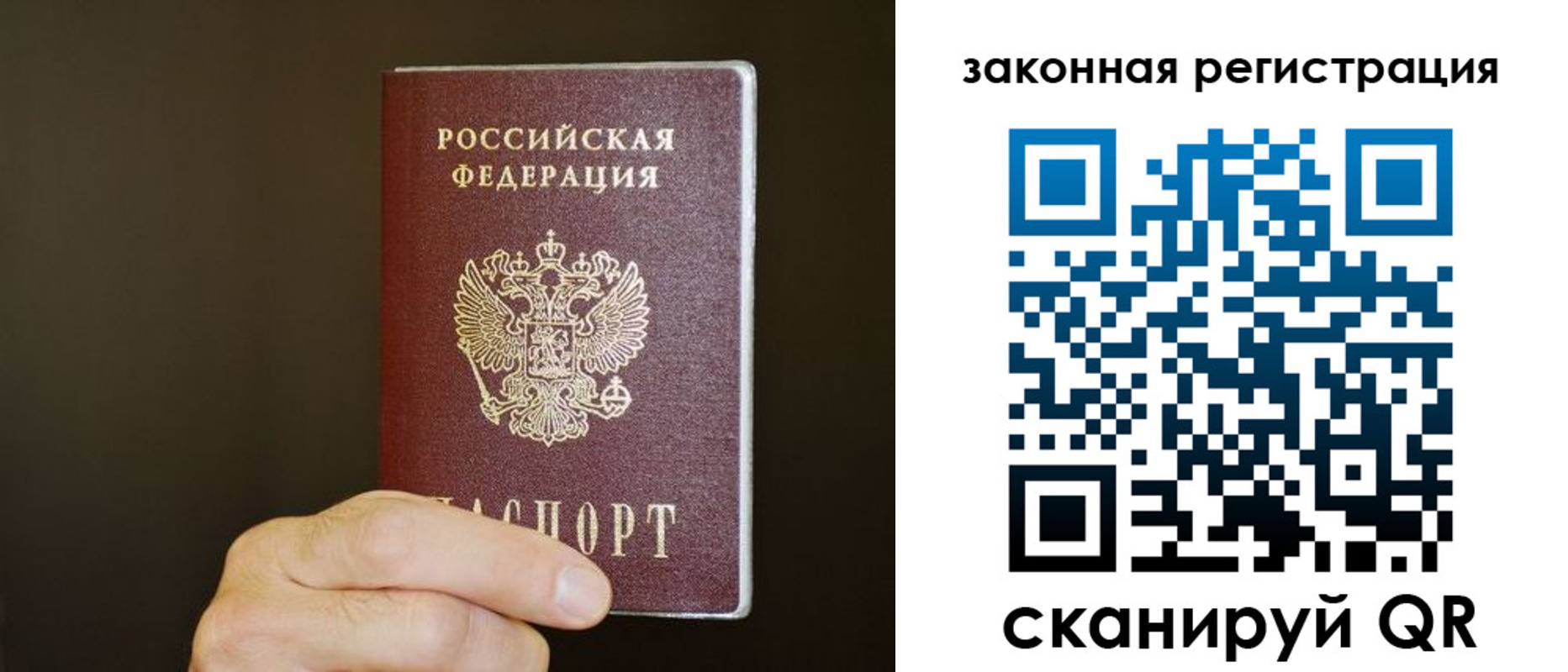 прописка регистрация в Щёкино